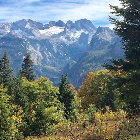 Apartmán Dachstein Mountainview Gosau Exteriér fotografie