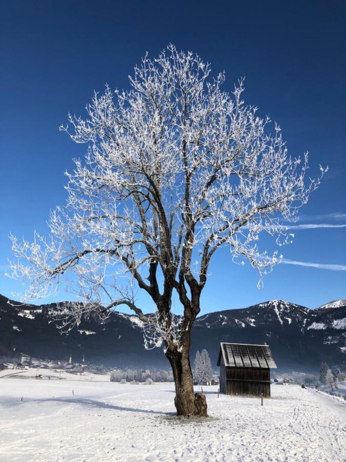 Apartmán Dachstein Mountainview Gosau Exteriér fotografie