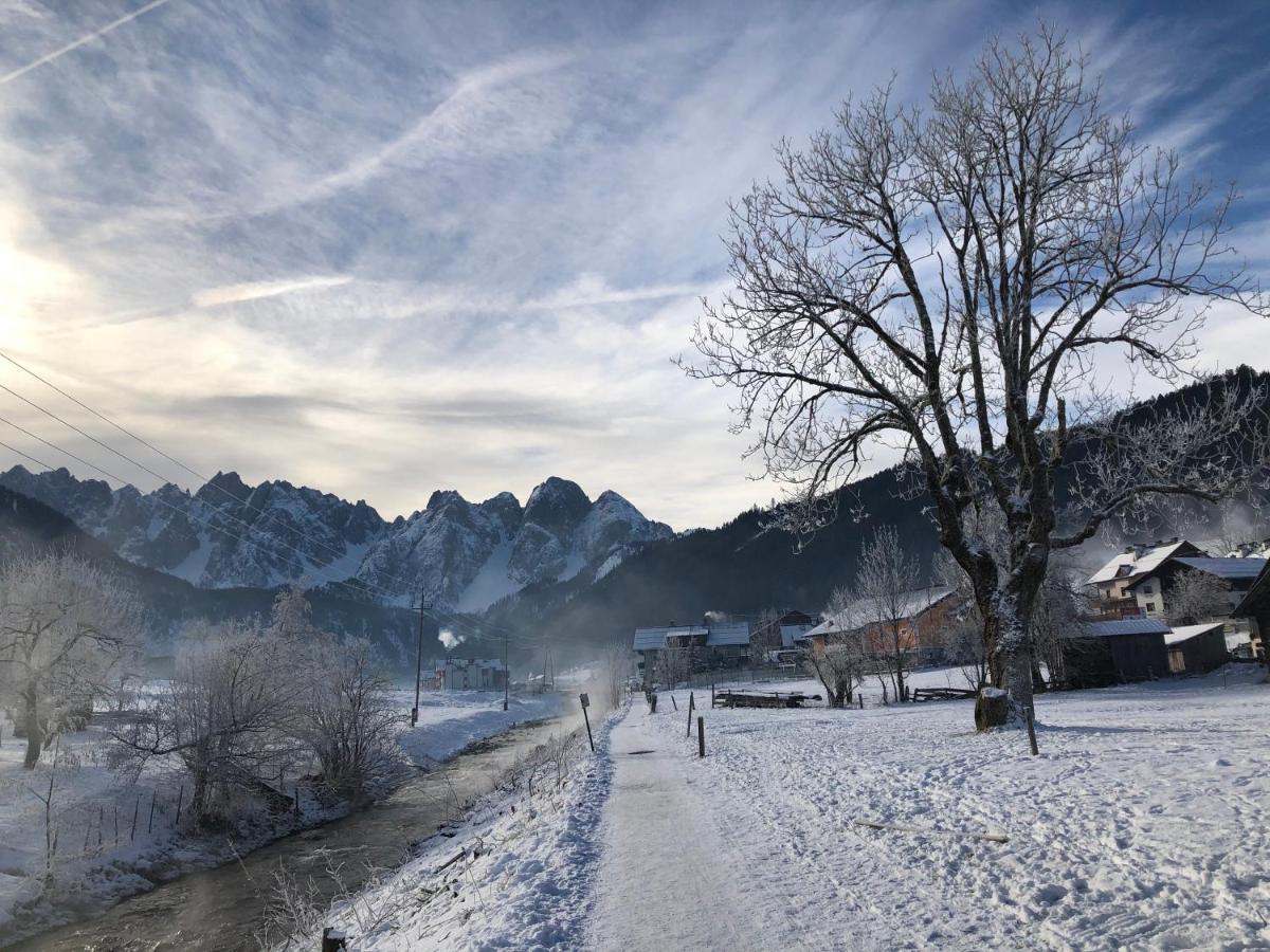 Apartmán Dachstein Mountainview Gosau Exteriér fotografie