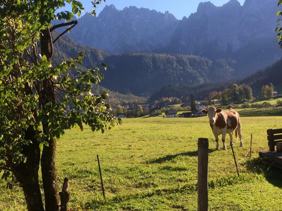 Apartmán Dachstein Mountainview Gosau Exteriér fotografie