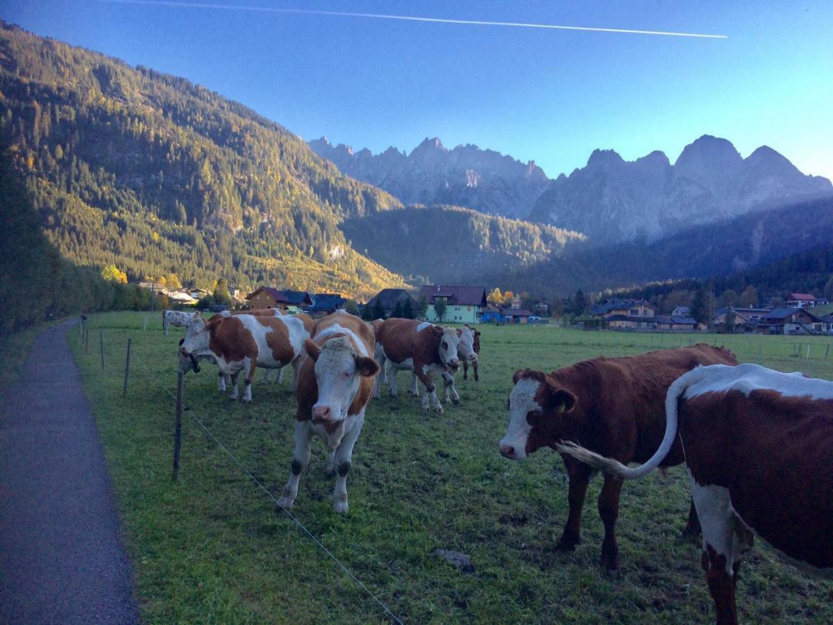 Apartmán Dachstein Mountainview Gosau Exteriér fotografie