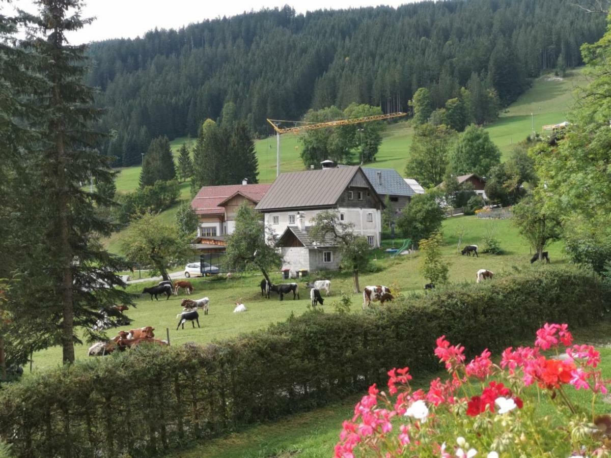 Apartmán Dachstein Mountainview Gosau Exteriér fotografie